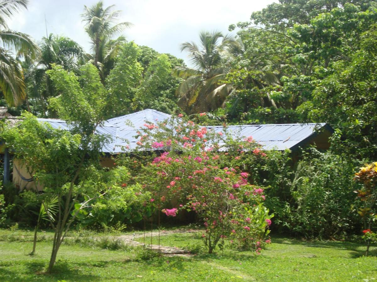 Fata Morgana Hostel Las Terrenas Bagian luar foto