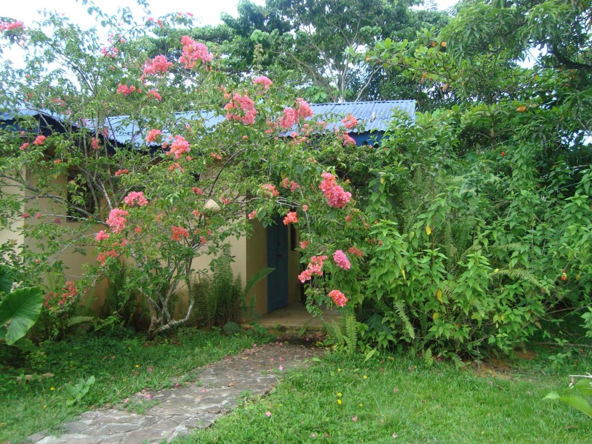 Fata Morgana Hostel Las Terrenas Bagian luar foto