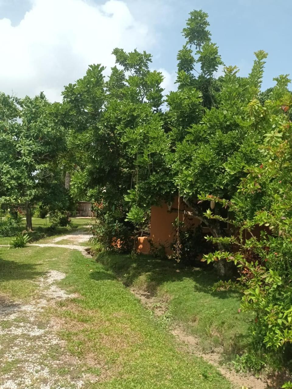 Fata Morgana Hostel Las Terrenas Bagian luar foto