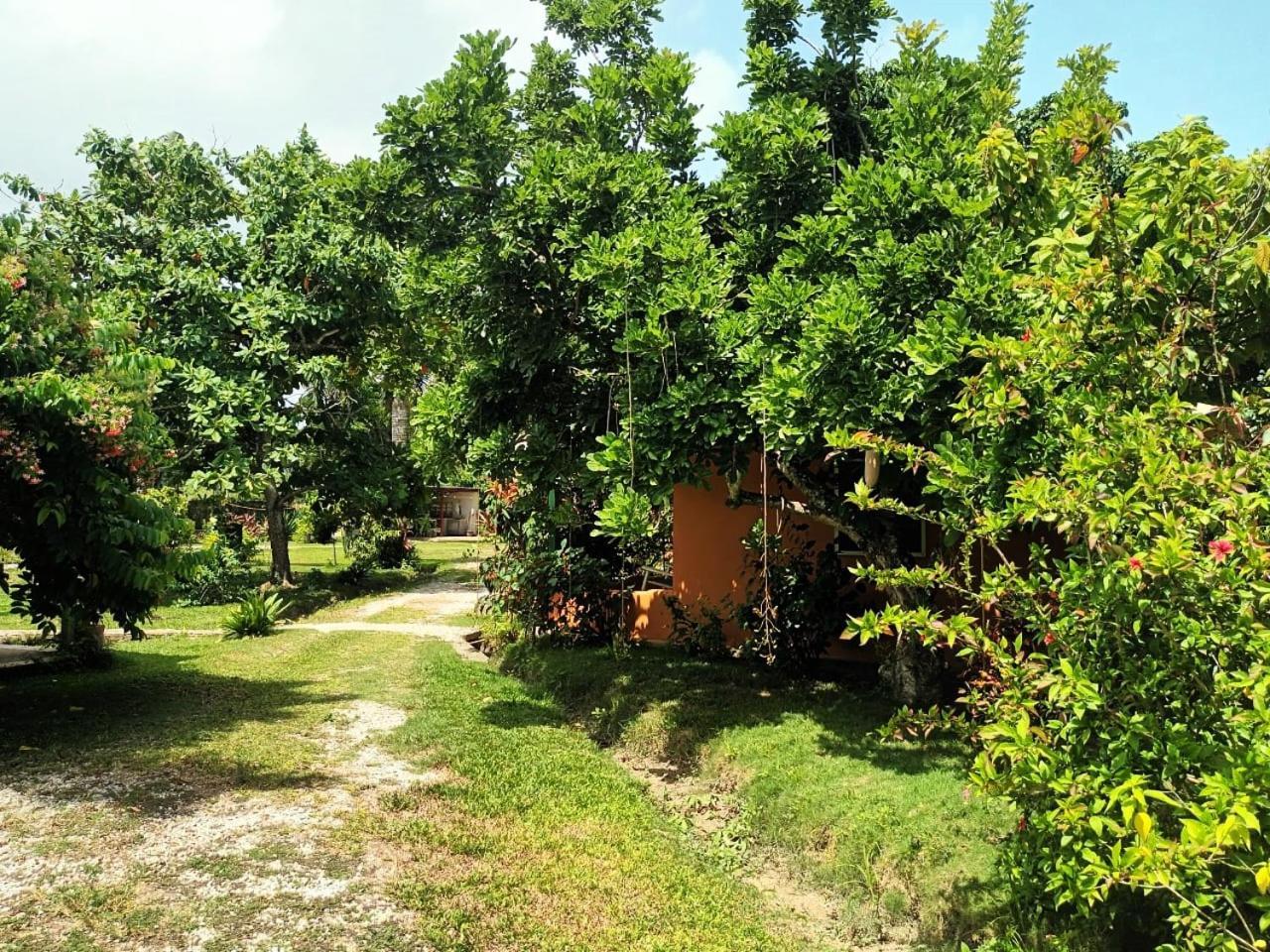 Fata Morgana Hostel Las Terrenas Bagian luar foto