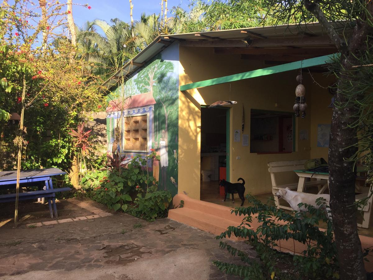 Fata Morgana Hostel Las Terrenas Bagian luar foto